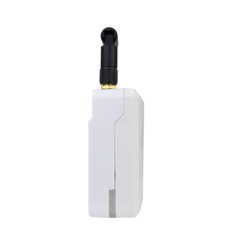 Wireless Mesh Gateway