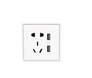 Tile Series 5-Hole Socket Panel with Dual USB Ports