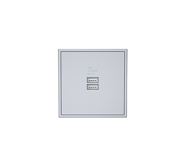 Tile_Dual USB Charger Wall Outlet