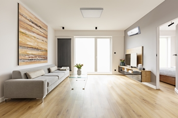 The Development Trend of the Smart Home Automation System