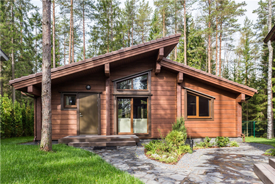 St. Petersburg Cabin Villa, Russia