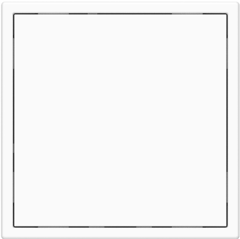 Ivory White
