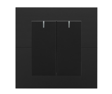Fangzhi 2-Button Switch