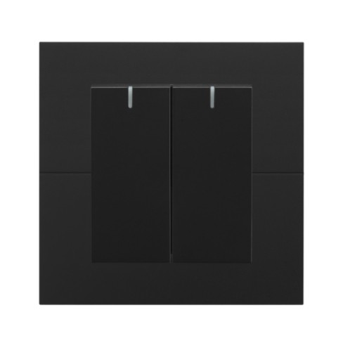 Fangzhi 2-Button Switch
