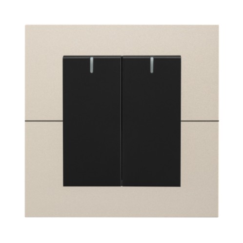 Fangzhi 2-Button Switch