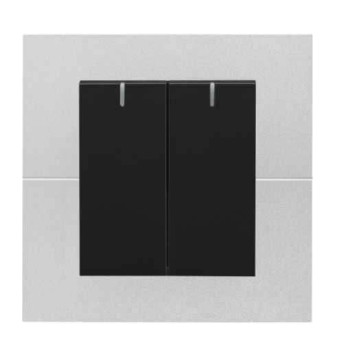 Fangzhi 2-Button Switch