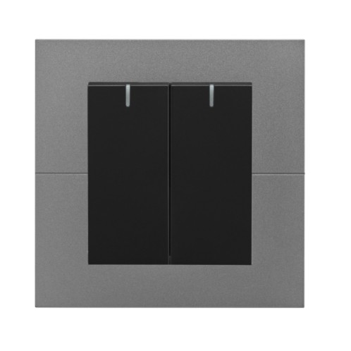 Fangzhi 2-Button Switch