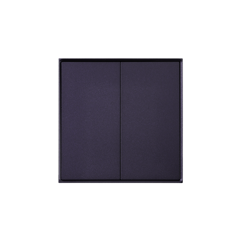 Inkslab Series 2 Button Rocker Switch