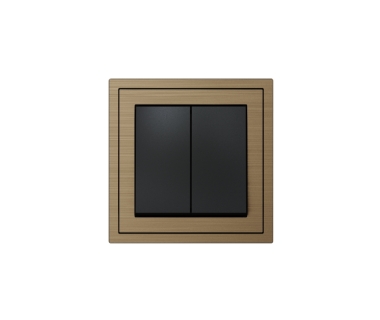 Xelent Series 2 Buttons Rocker Switch