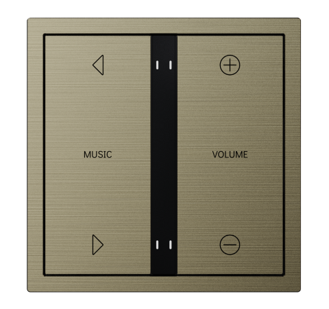 Antique  Bronze